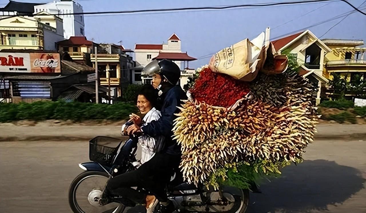 kaiyun.com-回国后我才敢说：越南是我去过的所有国家中，最被低估的